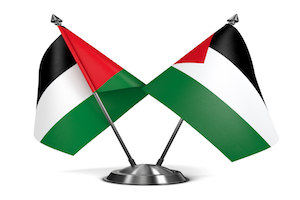 Two crossed Palestinian Flags