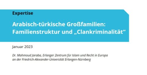 Towards entry "Mahmoud Jaraba on “criminal clans” and family structures"